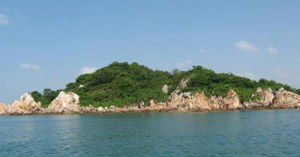 小青洲島 小青洲島