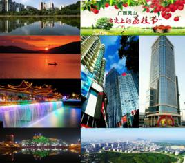 靈山縣[中國廣西欽州市下轄縣]