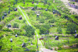 中華蜜蜂文化生態觀光休閒園 中華蜜蜂文化生態觀光休閒園