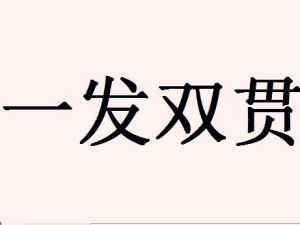 一發雙貫