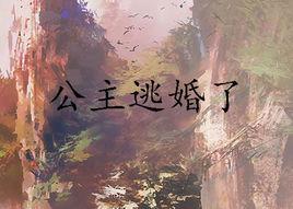 公主逃婚了