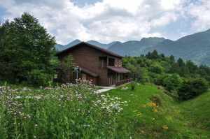 紅池壩國家森林公園
