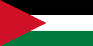 巴勒斯坦旗幟（1920-1924）