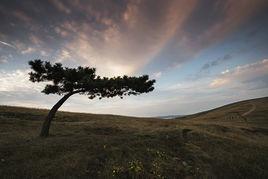 戀山壩上草原 戀山壩上草原