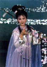 張派傳人何賽飛劇照