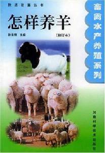 怎樣養羊 怎樣養羊