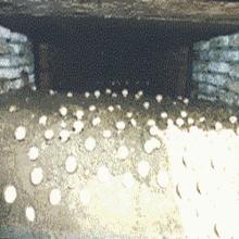 軍屯鎮的蘑菇基地