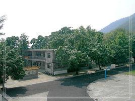 龍江豐華中學 龍江豐華中學