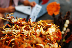 昆明蟹甲草 昆明蟹甲草