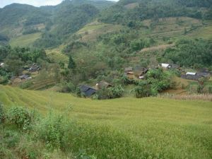 老麥地自然村 老麥地自然村