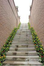 桃溪河畔4期·帕瑅歐