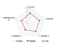 流程成熟度測評雷達圖