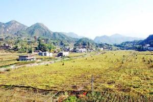 永勝經營所 永勝經營所