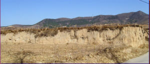 合室遺址 合室遺址