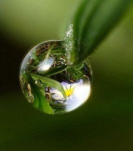 萬物[漢語詞語]