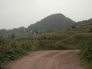 金竹自然村 金竹自然村