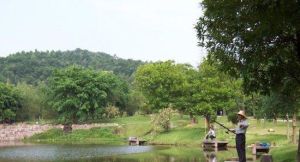 洞山遊園 洞山遊園