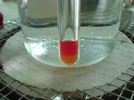 本尼迪克特試劑 本尼迪克特試劑