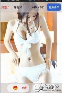 棄擼從搖 棄擼從搖