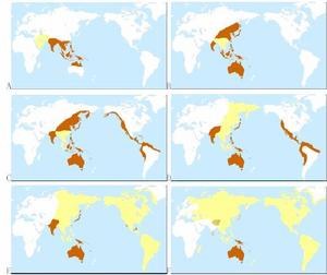 （圖）Y染色體單倍型類群