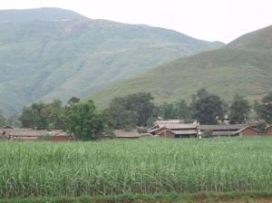 下坪壩自然村 下坪壩自然村