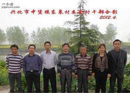 東皋村[江蘇省興化市中堡鎮東皋村]