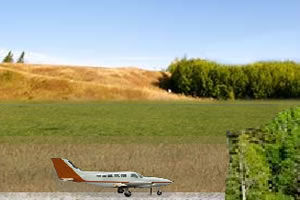 飛機安全降落 飛機安全降落