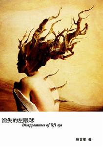 《消失的左眼球》封面