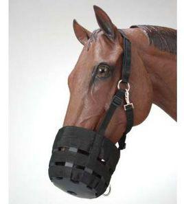 馬口[詞語釋義]