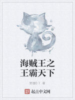 海賊王之王霸天下 海賊王之王霸天下