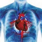 房性心動過速 房性心動過速