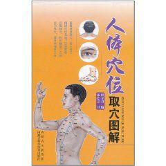 人體穴位取穴圖解 人體穴位取穴圖解