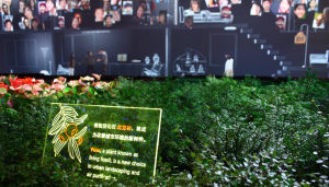 紅豆杉在世博會中國館