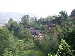 本地寨自然村 本地寨自然村