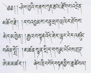藏文書法