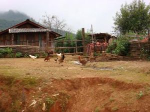 水塘大寨自然村 水塘大寨自然村