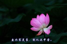 卜運算元·詠蓮 卜運算元·詠蓮