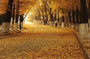 匯泉廣場 匯泉廣場