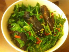 香菜茄子 香菜茄子