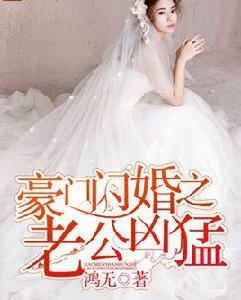 豪門閃婚之老公兇猛 豪門閃婚之老公兇猛