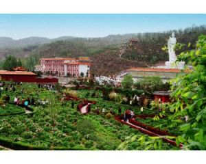 古縣牡丹文化旅遊區 古縣牡丹文化旅遊區