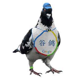 （圖）谷鴿鳥看