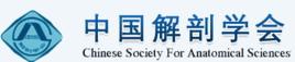 中國解剖學會 中國解剖學會