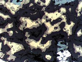 變余結構 變余結構