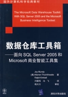 數據倉庫工具箱:面向SQLServer2005和Microsoft商業智慧型工具集 數據倉庫工具箱:面向SQLServer2005和Microsoft商業智慧型工具集