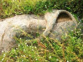 白鴿澗玄武石刻 白鴿澗玄武石刻