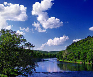 美國東北部 美國東北部