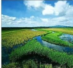 黃壘河乳山濕地 黃壘河乳山濕地