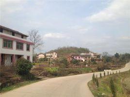 南沖村[湖南省臨武縣雙溪鄉南沖村]