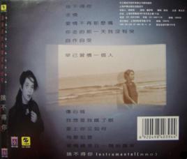 早已習慣一個人 早已習慣一個人